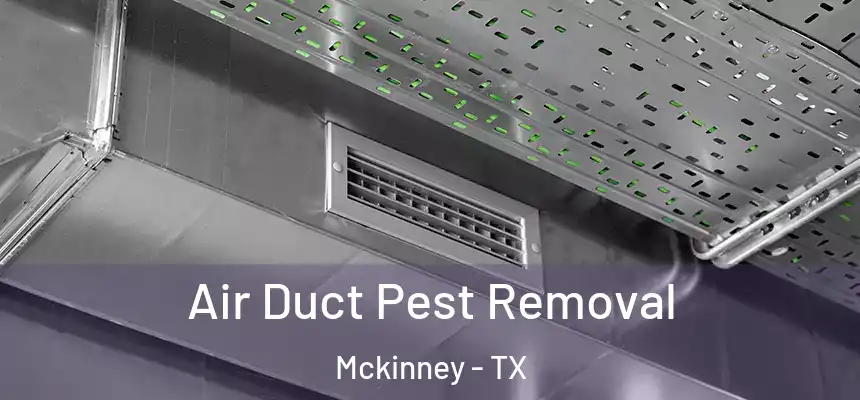 Air Duct Pest Removal Mckinney - TX