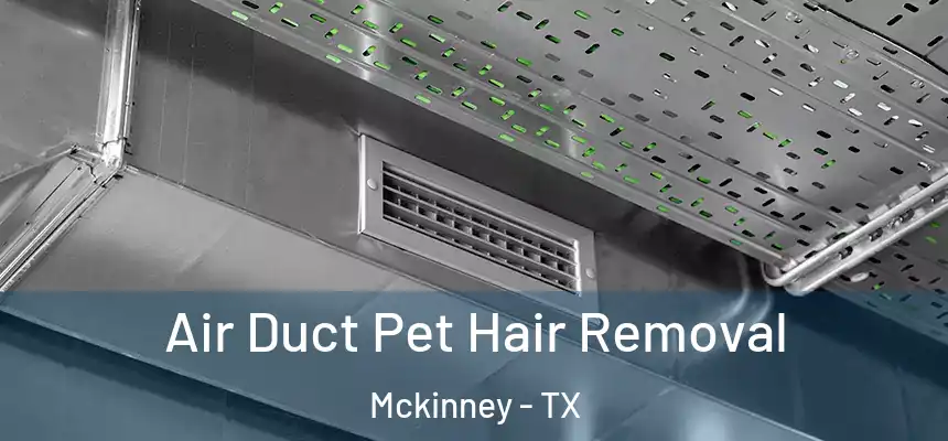 Air Duct Pet Hair Removal Mckinney - TX