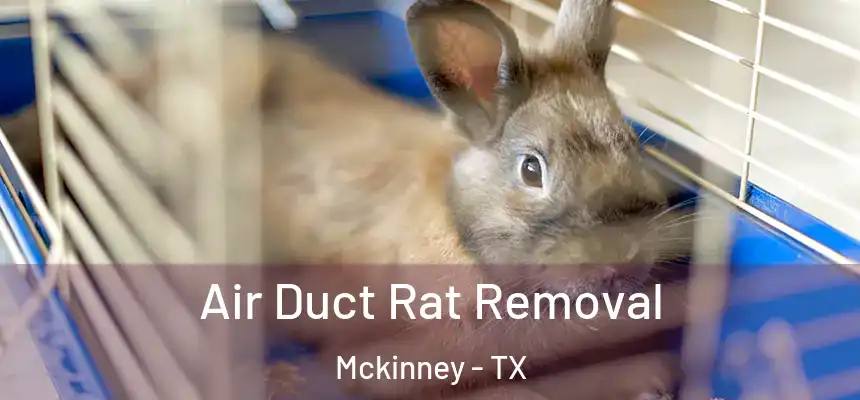 Air Duct Rat Removal Mckinney - TX