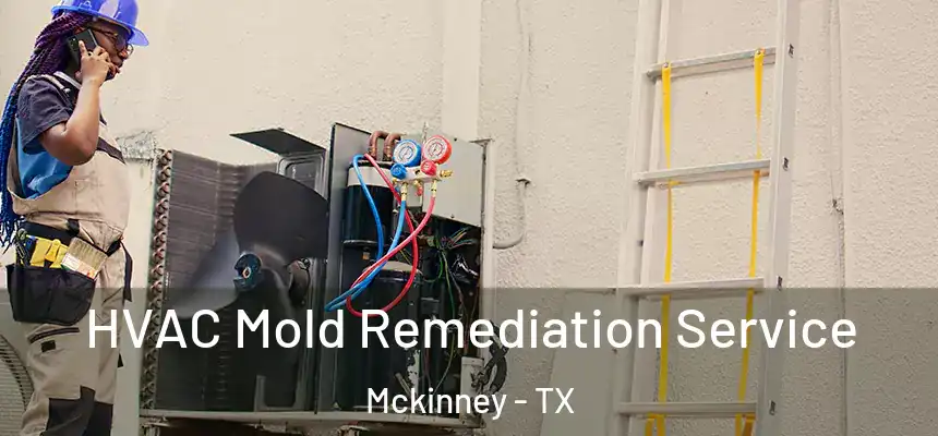 HVAC Mold Remediation Service Mckinney - TX
