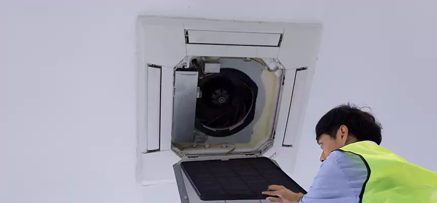 Our Dryer Vent Sanitization Service Services in Mckinney, TX