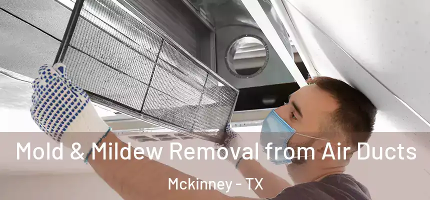 Mold & Mildew Removal from Air Ducts Mckinney - TX