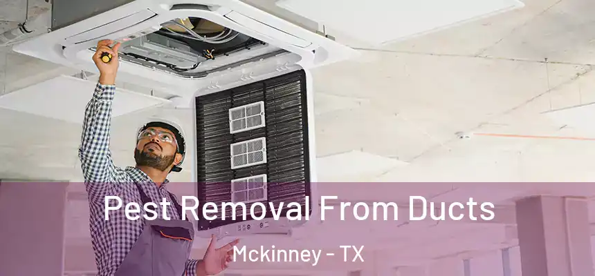 Pest Removal From Ducts Mckinney - TX