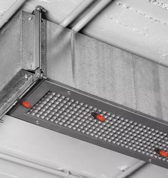 Affordable Insect Removal from Air Ducts in Mckinney, TX