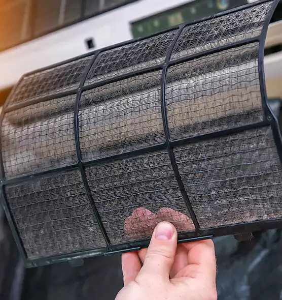 About Pet Dander Duct Cleaning in Mckinney, TX